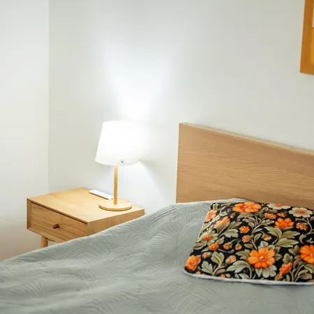 Appartement Dzirnavu *