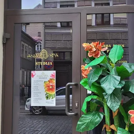 Dzirnavu Appartement